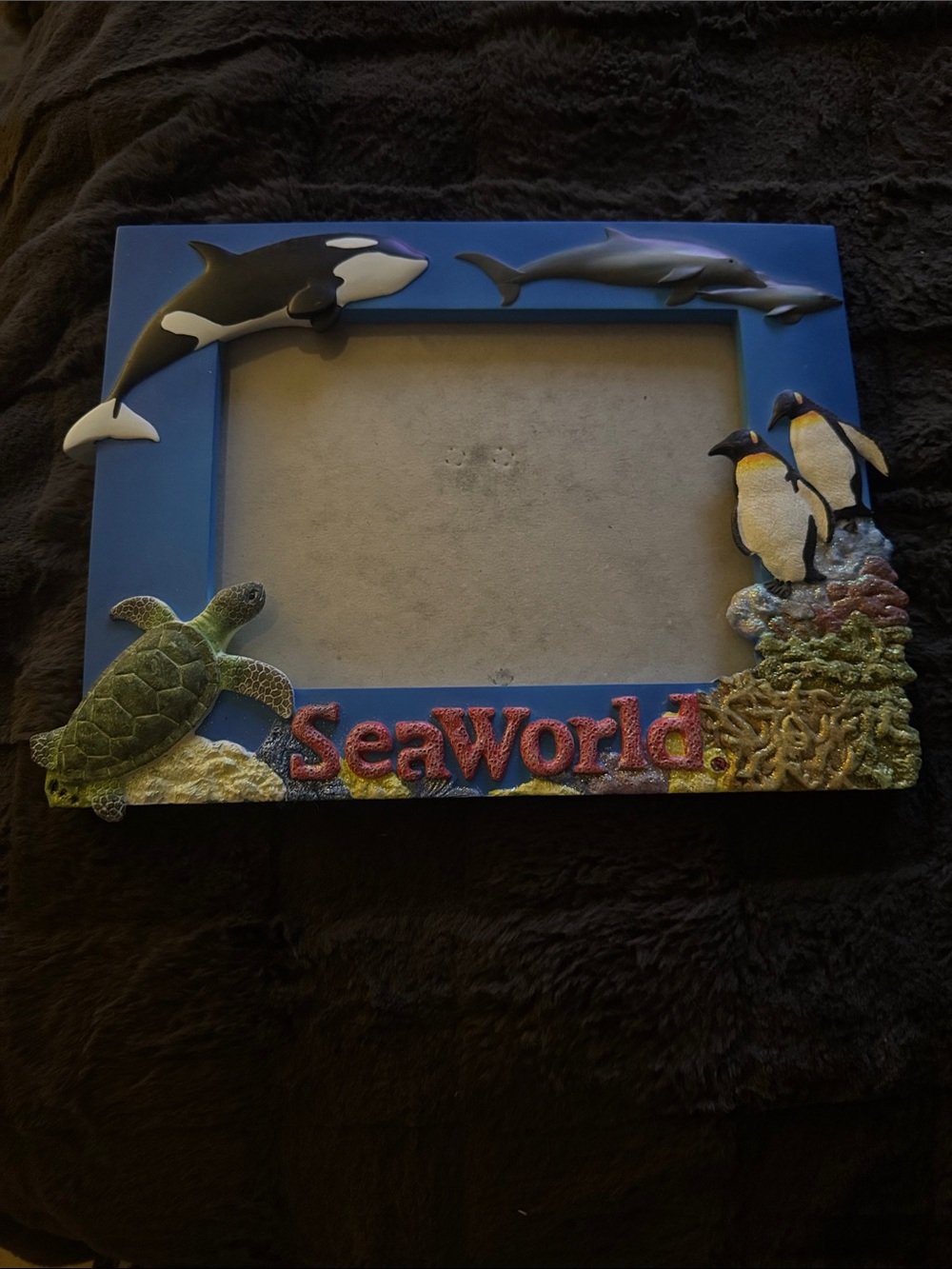SeaWorld Blue Ocean Animal Picture Frame